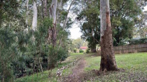 Fearnley Park Playground, Beecroft - Chapman Avenue Entrance Nature Trail