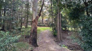 Fearnley Park Playground, Beecroft - Chapman Avenue Entrance Nature Trail2