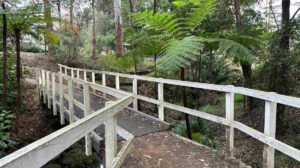 Fearnley Park Playground, Beecroft - Hannah Street Entrance Bridge2