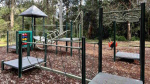 Fearnley Park Playground, Beecroft - Slide Kids Nature Play Monkey Bar Bridge Pole2