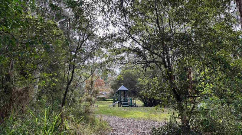 Fearnley Park Playground, Beecroft - Tall Trees Nature Hidden Gem For Kids