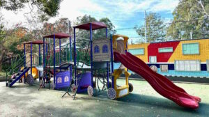 Beecroft Railway Station Gardens Playground Train Themed Slide